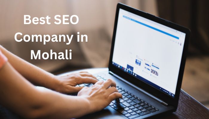 Best SEO Company in Mohali